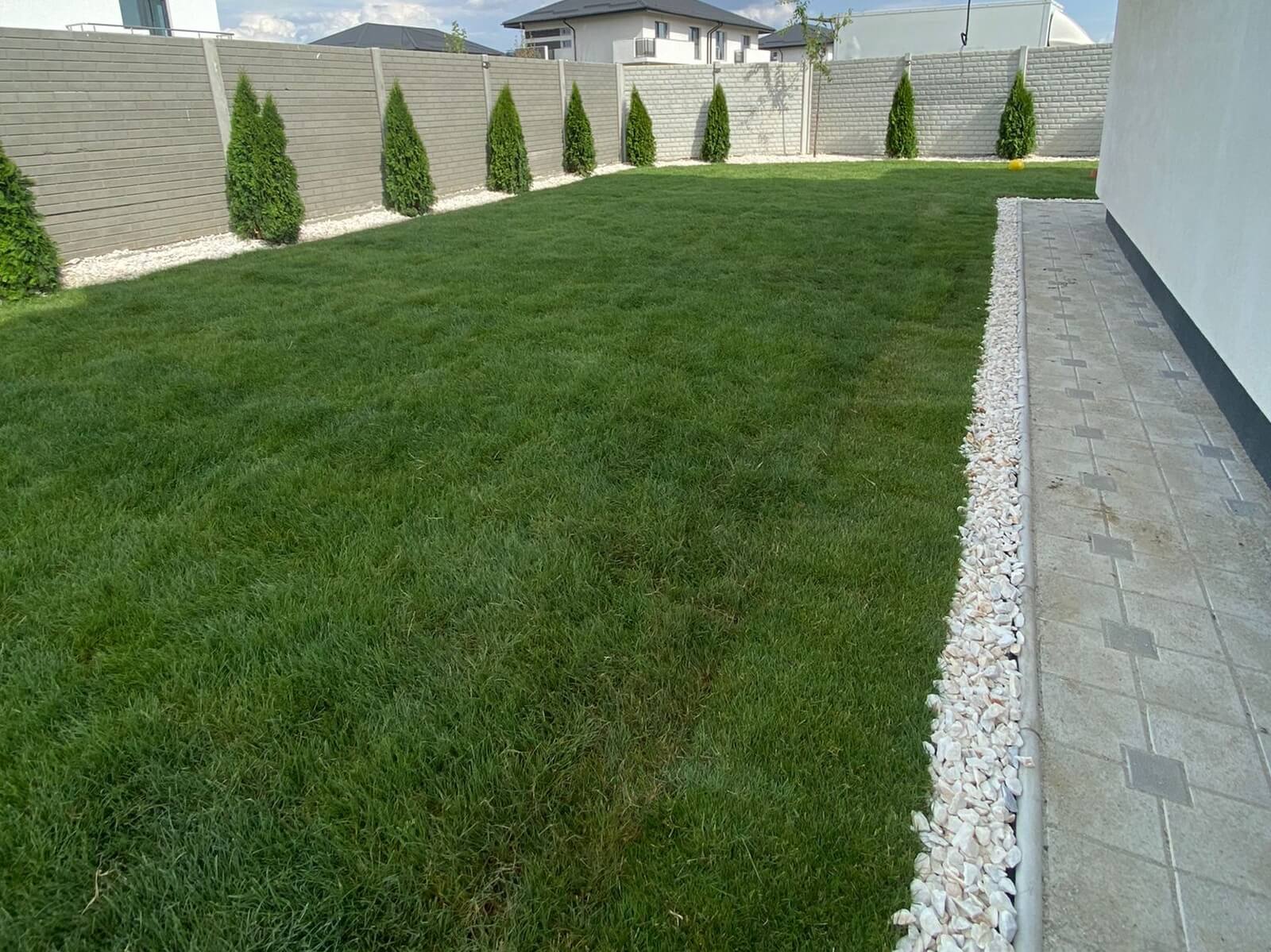 service single images