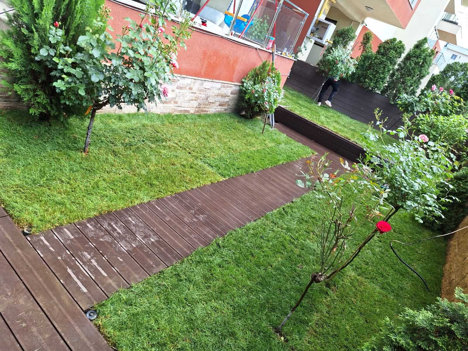 service single images