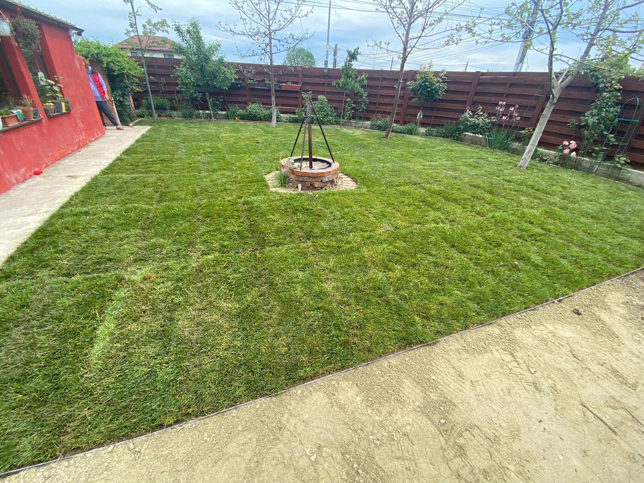 service single images