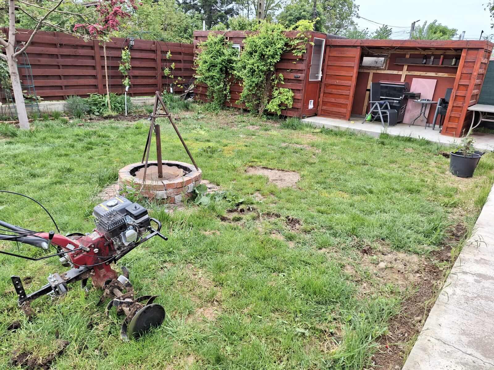 service single images